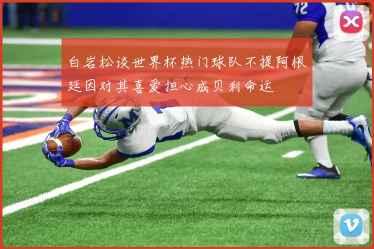 白岩松谈世界杯热门球队不提阿根廷因对其喜爱担心成贝利命运
